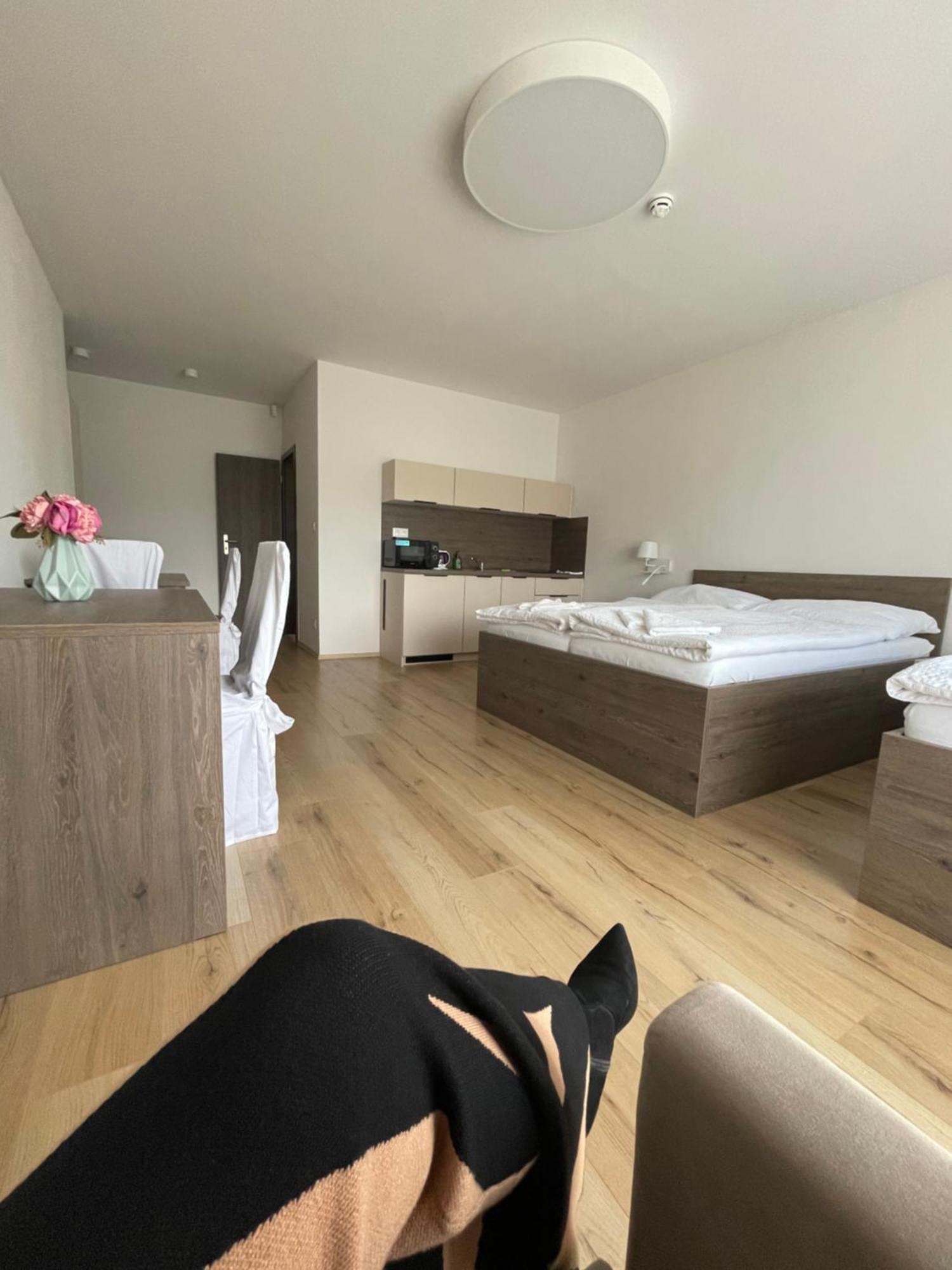 Zafir Hotel Dunajská Streda Eksteriør billede